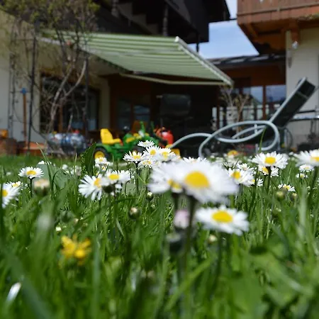 Pension Willibald-2
